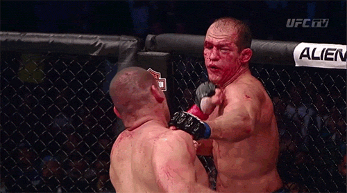 https://www.sportal.bg/uploads/tinymce/90/d/tumblr_muye6tYnN21rg6bbuo1_500.gif